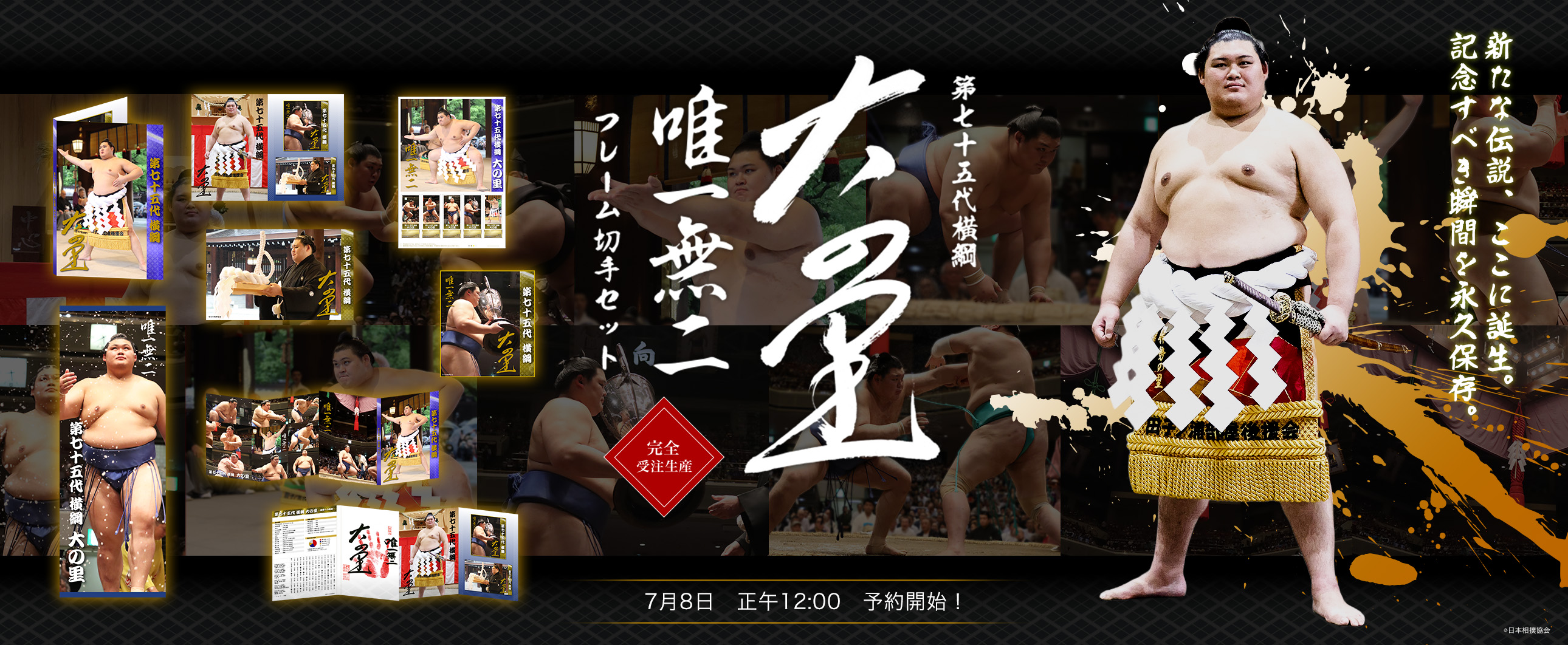 切手セット 第七十五代横綱 大の里 唯一無二 フレーム切手セット